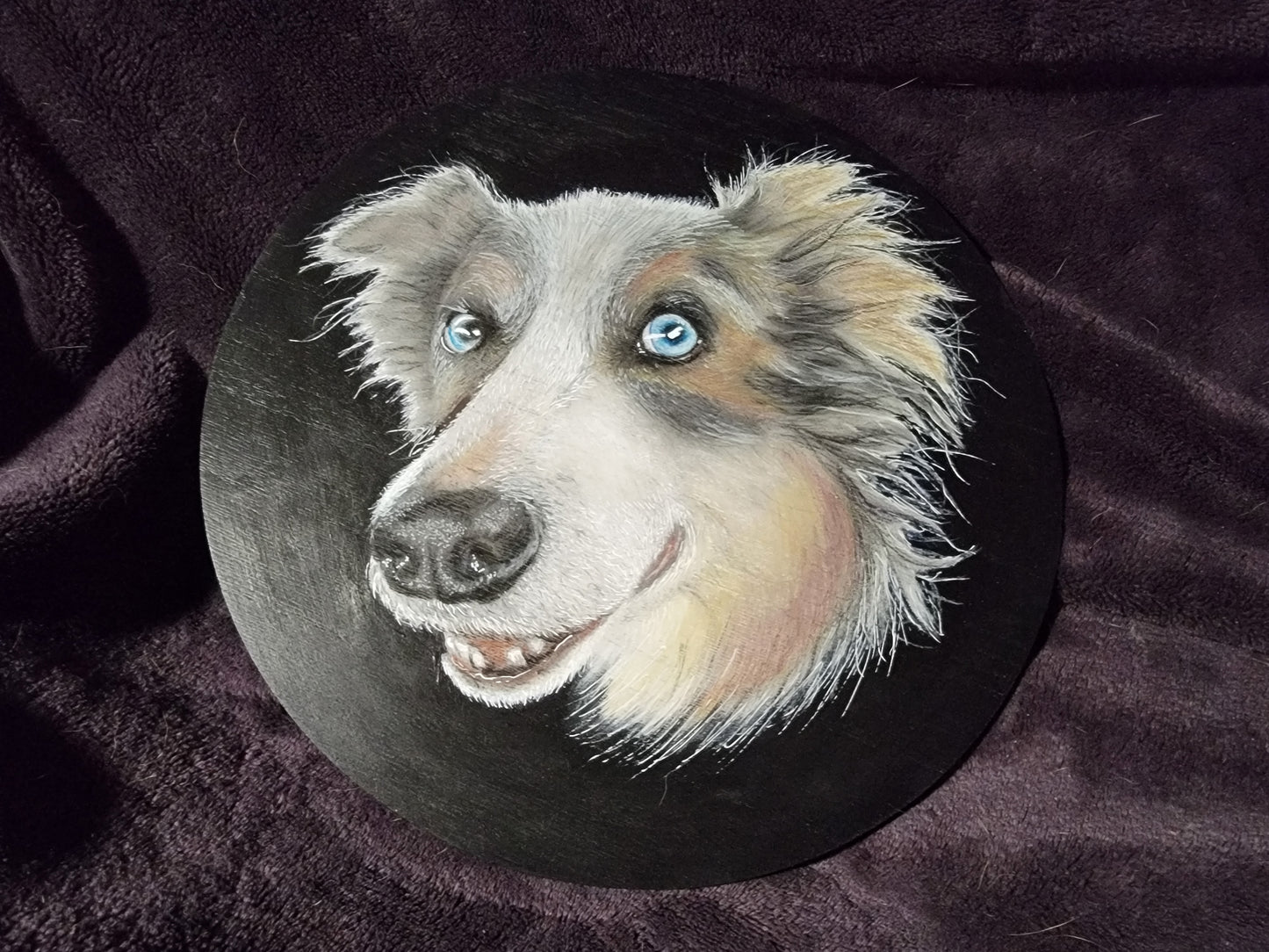 Pet Portrait Commissions